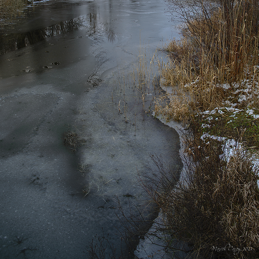 DSC_7516.jpg