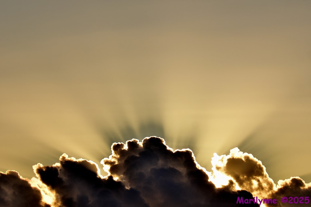 DSC_7516_001.JPG