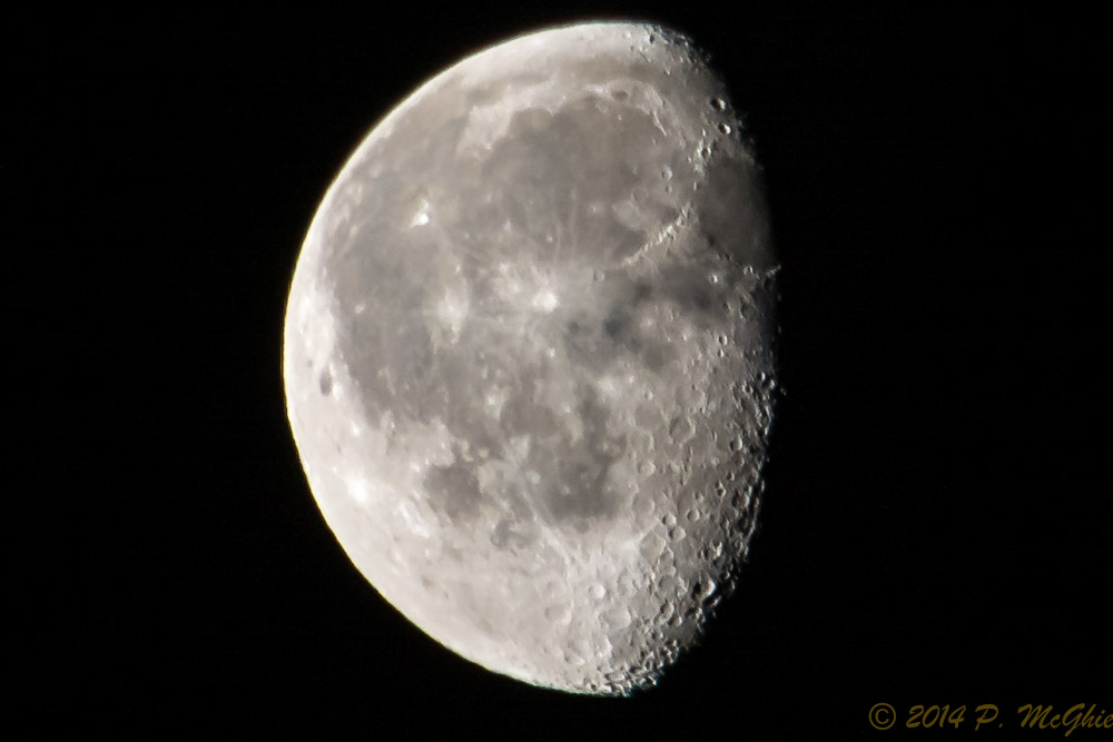 DSC_7526.jpg
