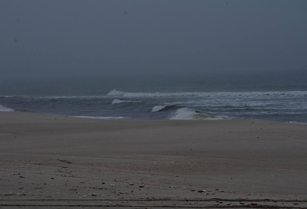 DSC_7527.jpg
