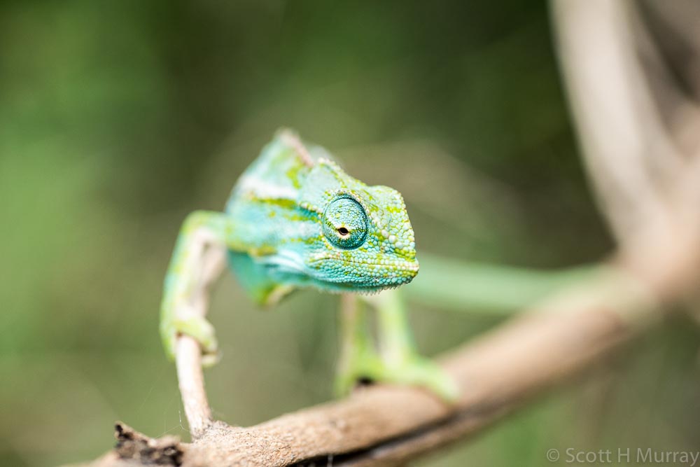 DSC_7530.jpg
