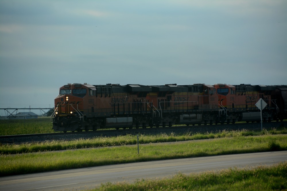 DSC_7531.JPG