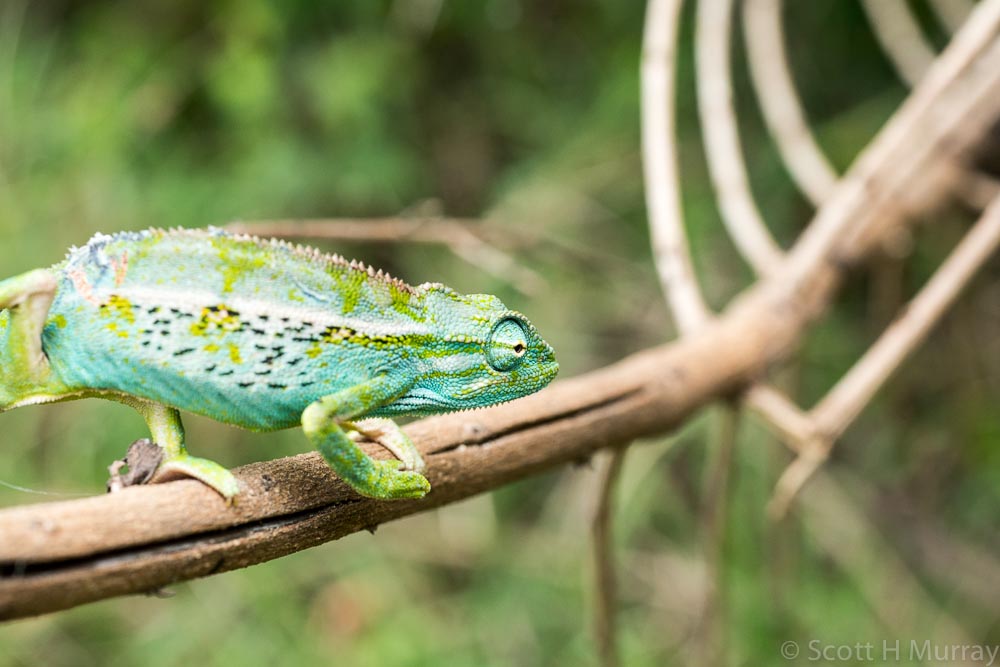 DSC_7533.jpg