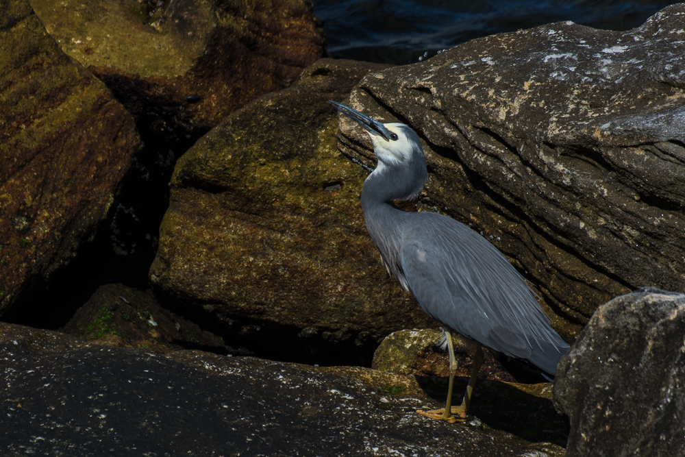 DSC_7538.jpg