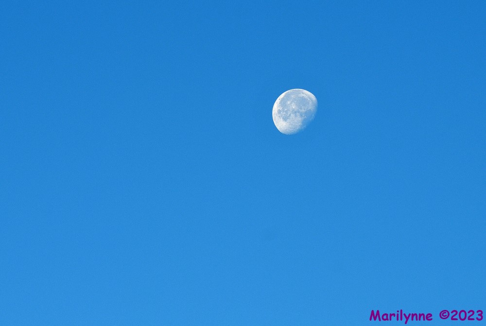 DSC_7539_001_01.JPG