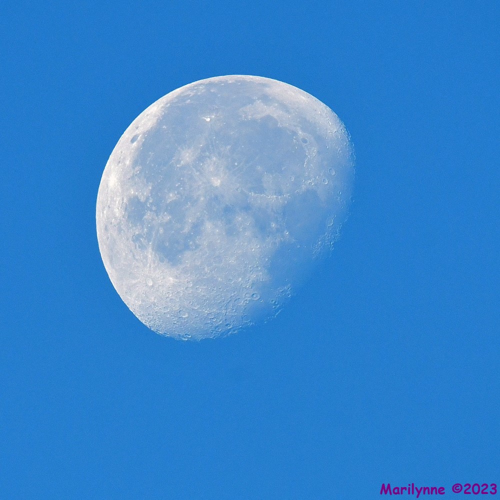DSC_7540_001.JPG