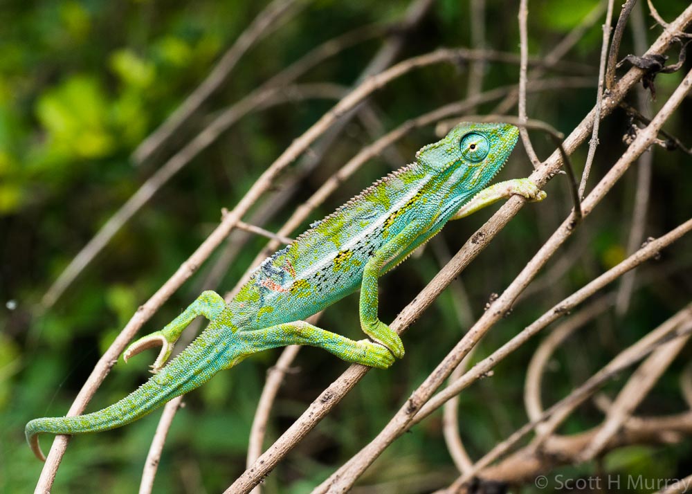 DSC_7541.jpg