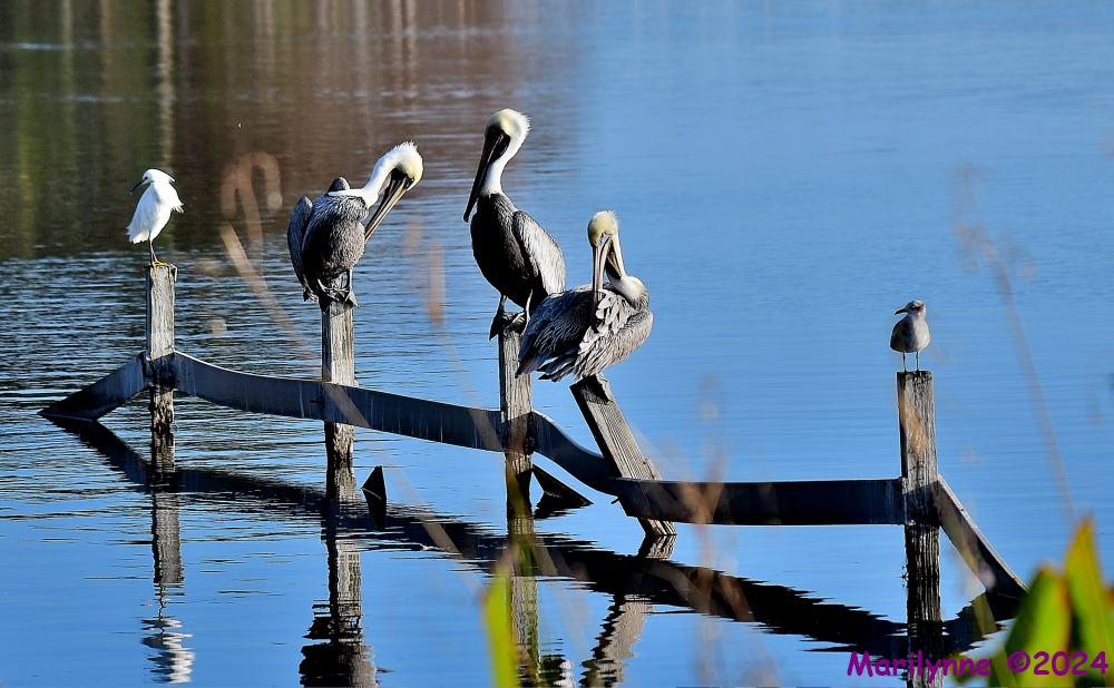 DSC_7541_001.JPG