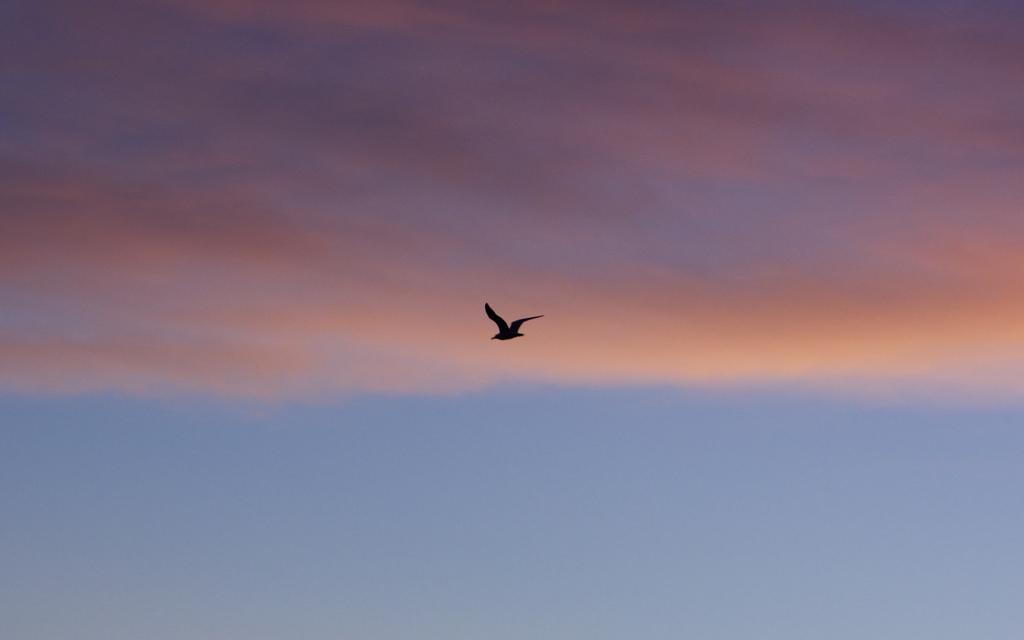 DSC_7545.jpg