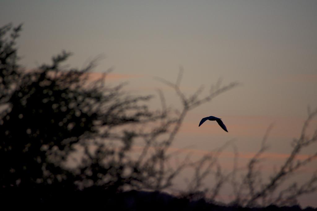 DSC_7548.jpg