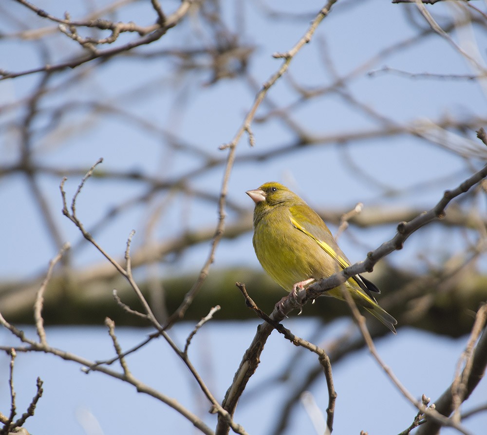 DSC_7549.jpg