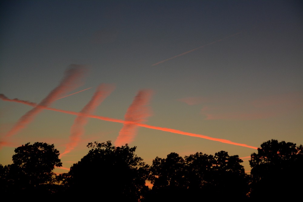 DSC_7557.JPG