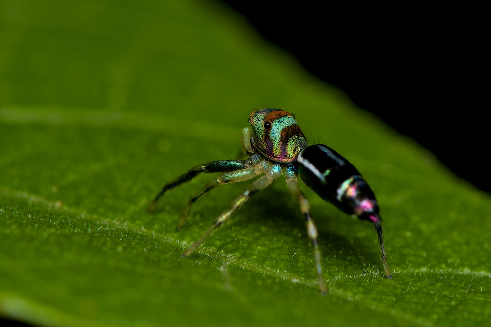 DSC_7563.jpg