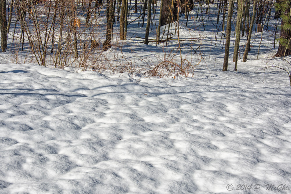 DSC_7565-Edit.jpg