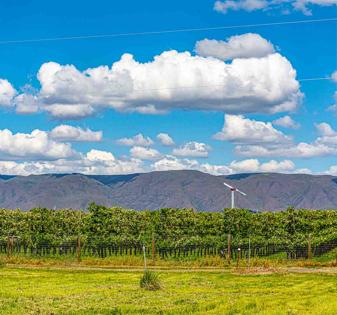 DSC_7571-Pano.jpg