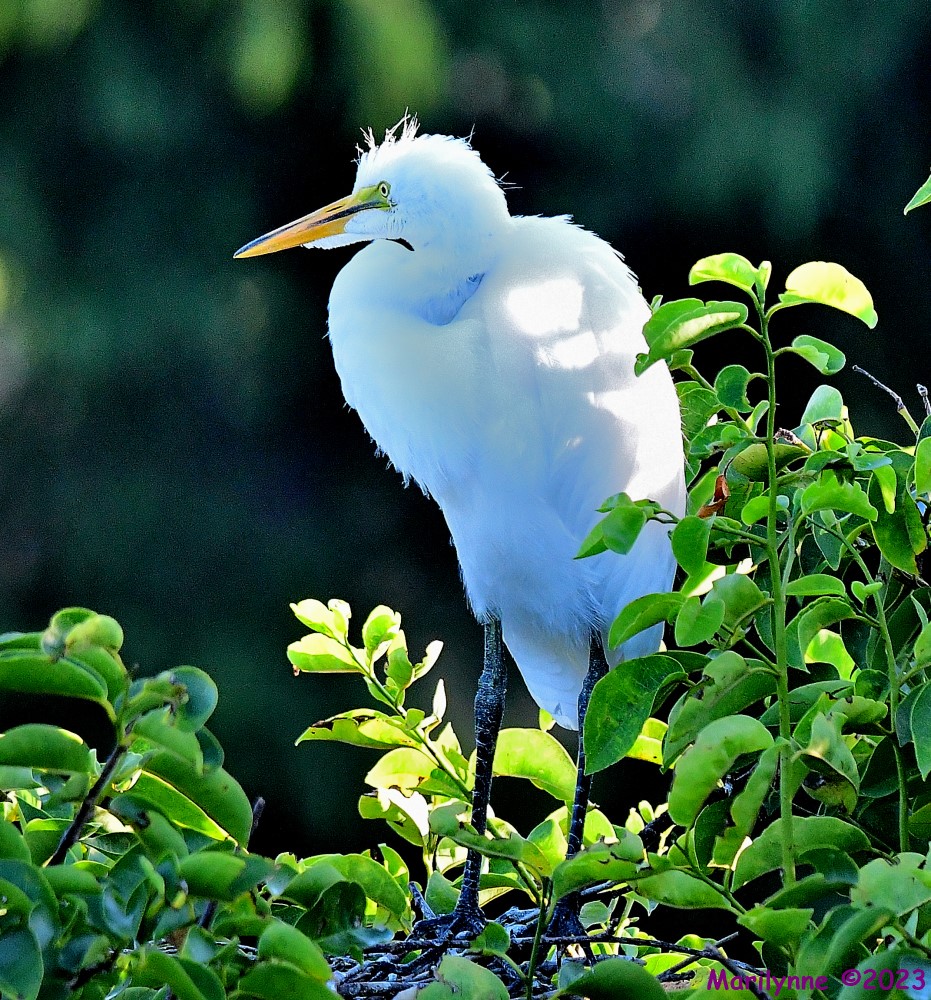 DSC_7574_001.JPG