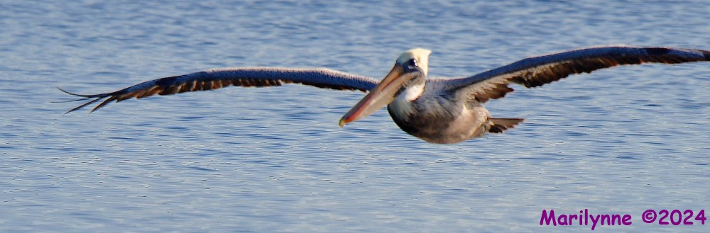 DSC_7574_001.JPG