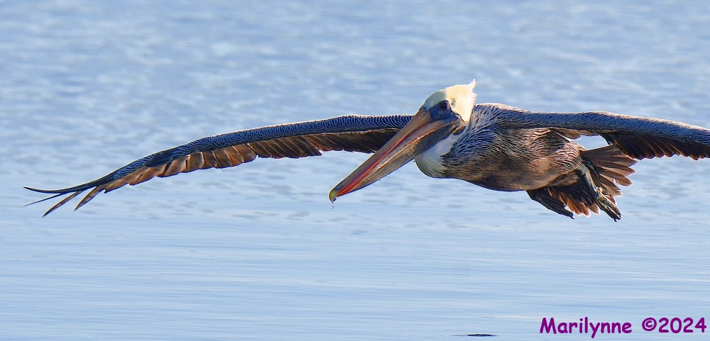DSC_7575_001.JPG