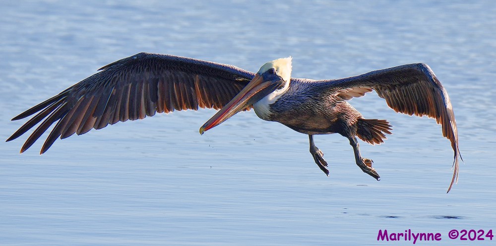 DSC_7576_001.JPG