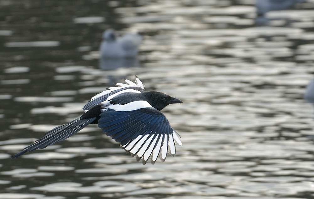 DSC_7577.jpg