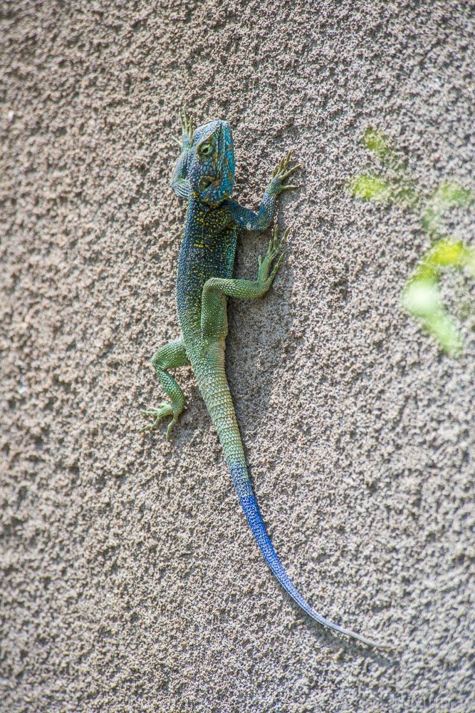 DSC_7577.jpg