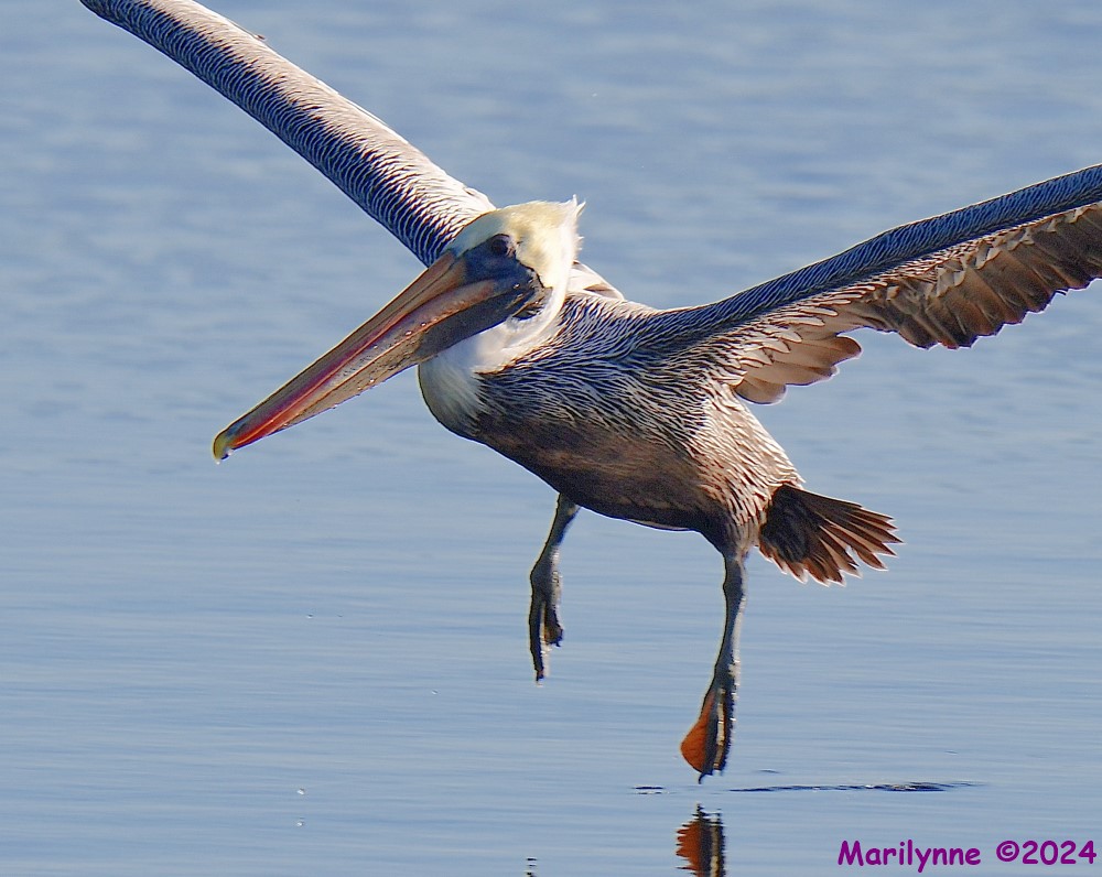 DSC_7577_001.JPG