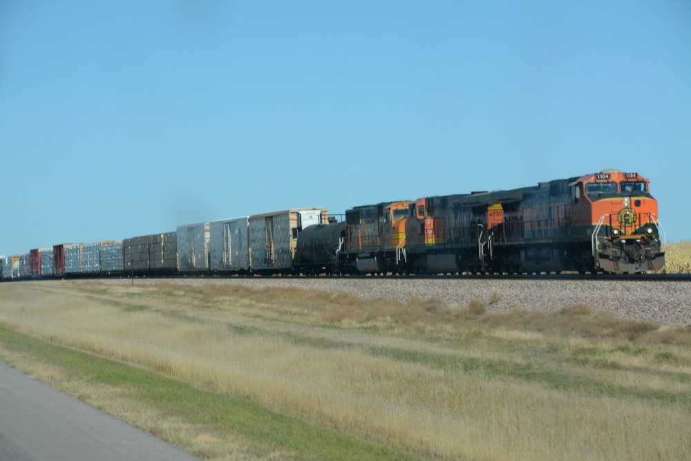 DSC_7584.JPG