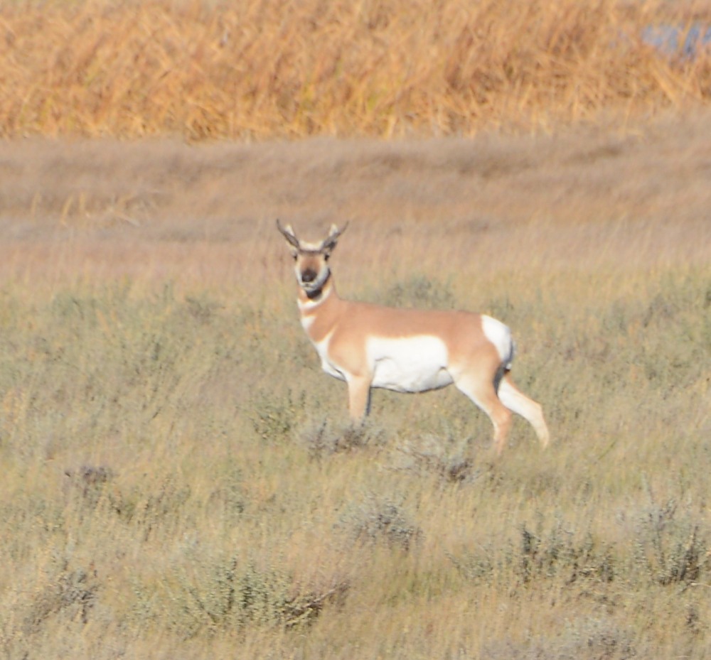 DSC_7587.JPG