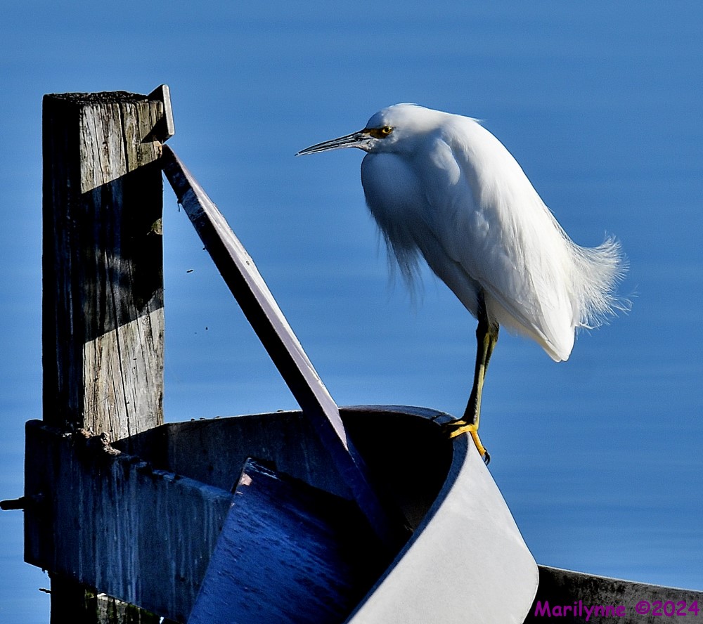 DSC_7587_001.JPG