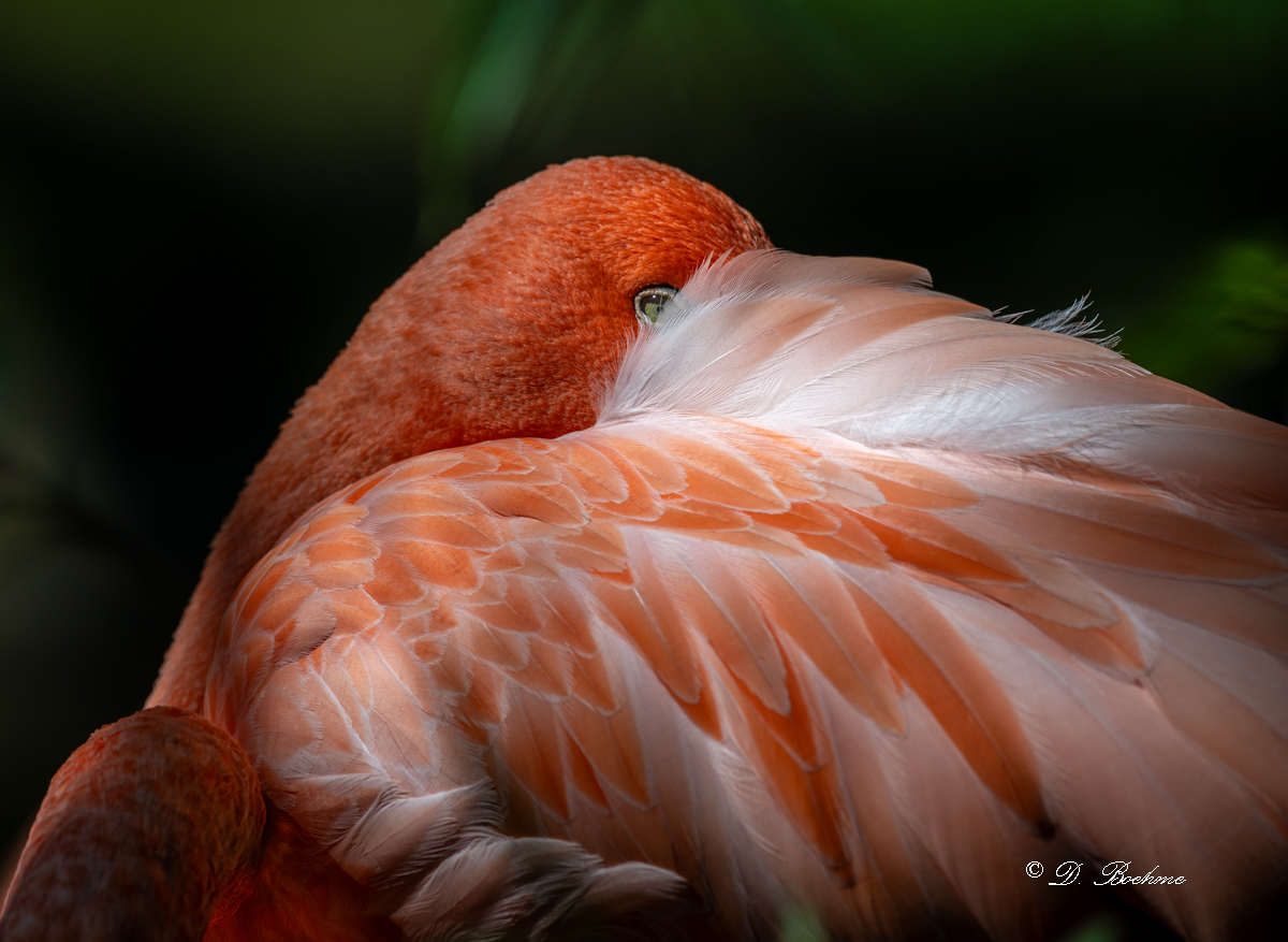 DSC_7589.jpg
