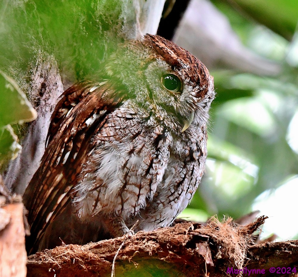DSC_7589_001.JPG