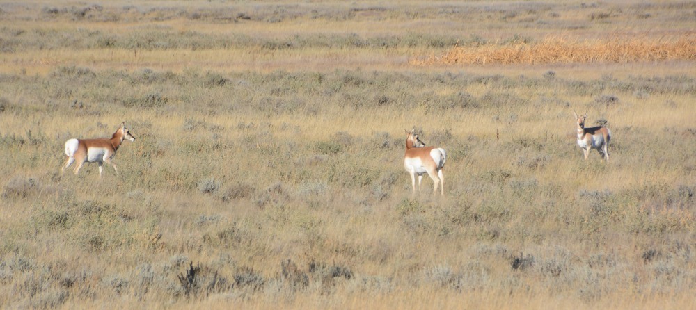 DSC_7590.JPG