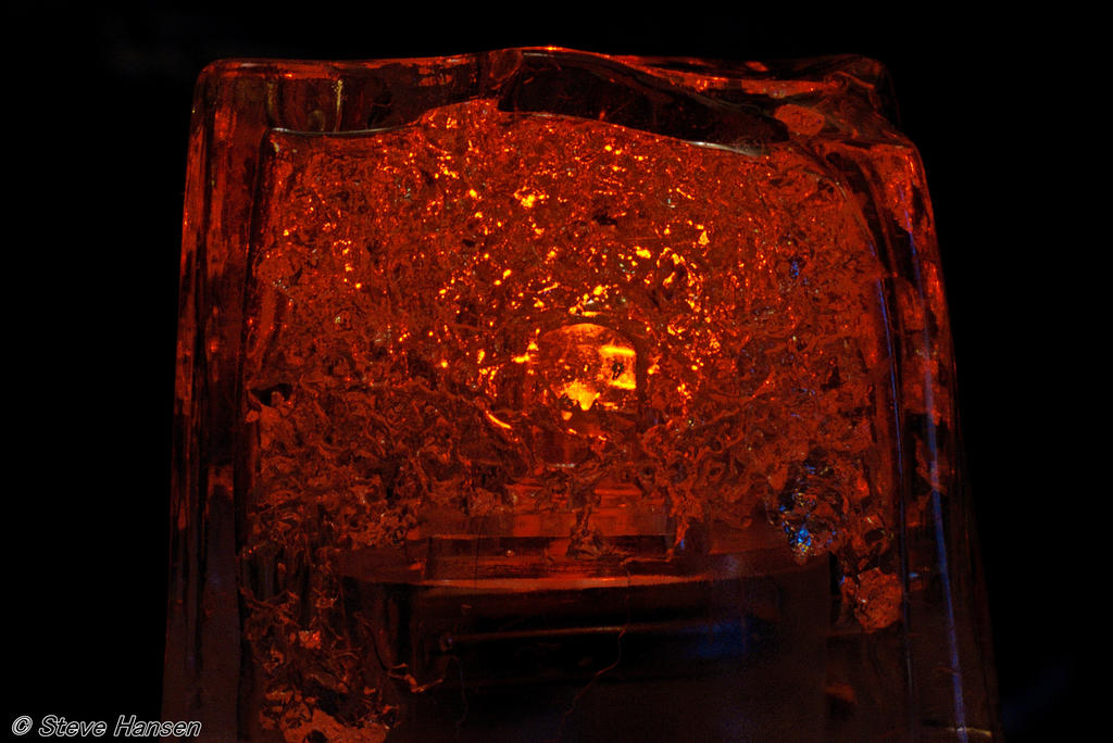 DSC_7591.jpg