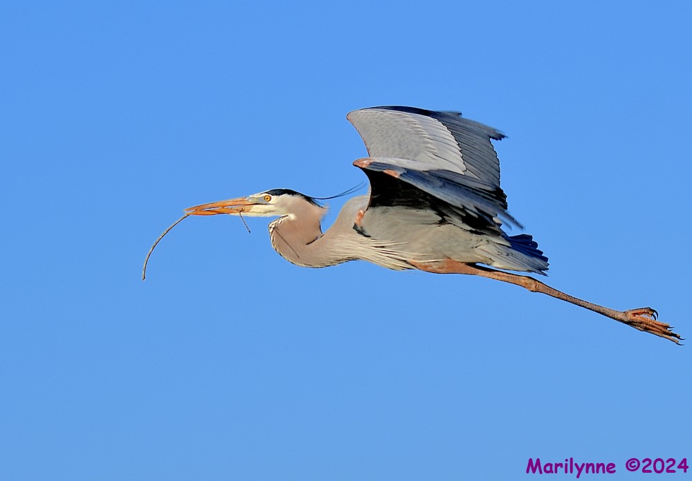 DSC_7591_001.JPG