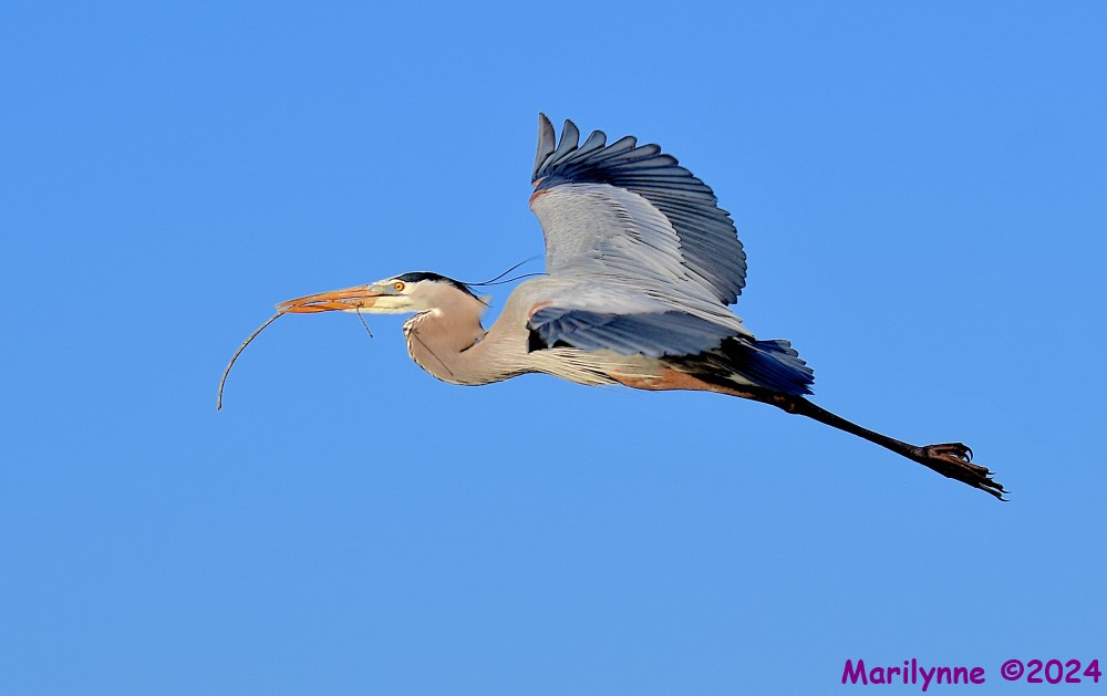 DSC_7592_001.JPG