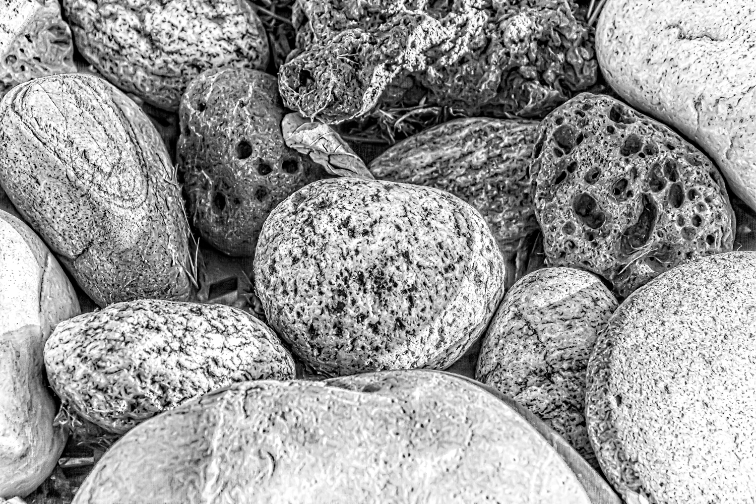 DSC_7595-Edit.jpg