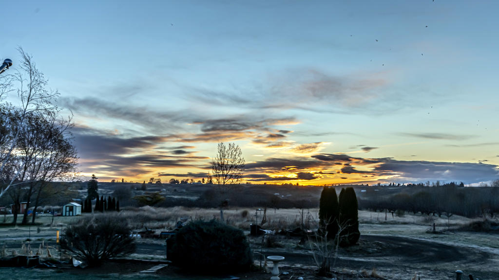 DSC_7595-HDR.jpg