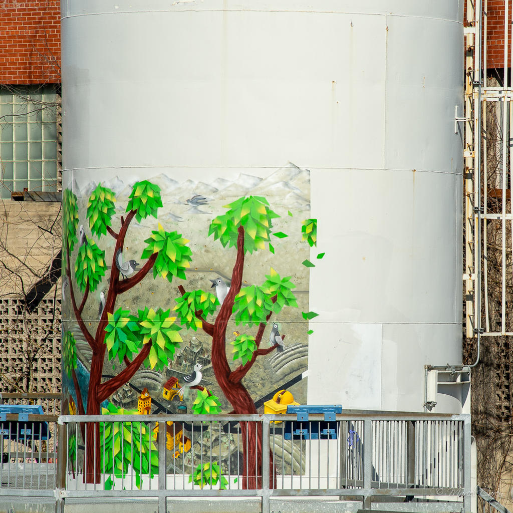 DSC_7595.jpg