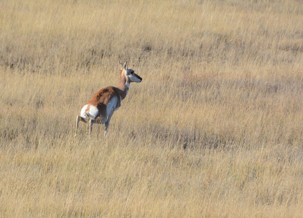 DSC_7599.JPG