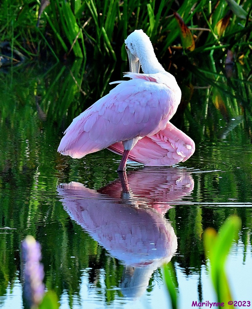 DSC_7600_001.JPG
