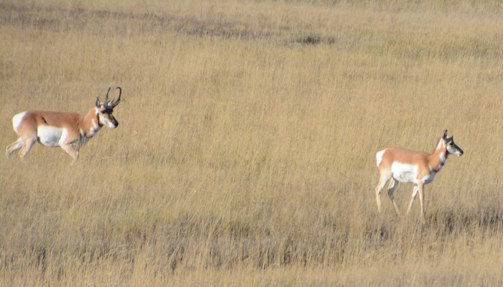 DSC_7602.JPG