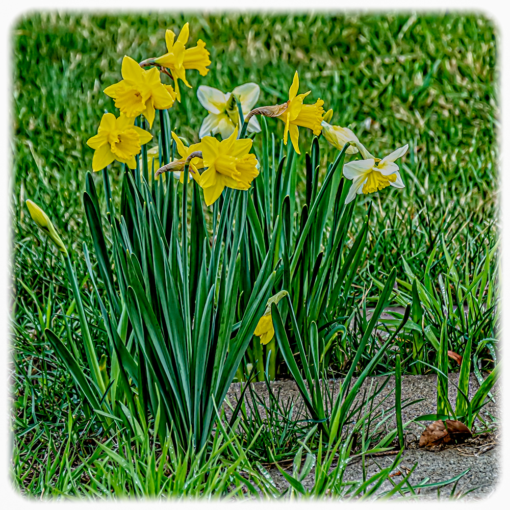 DSC_7604-Edit.jpg