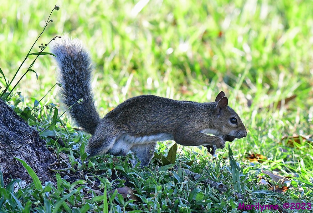 DSC_7605_001.JPG