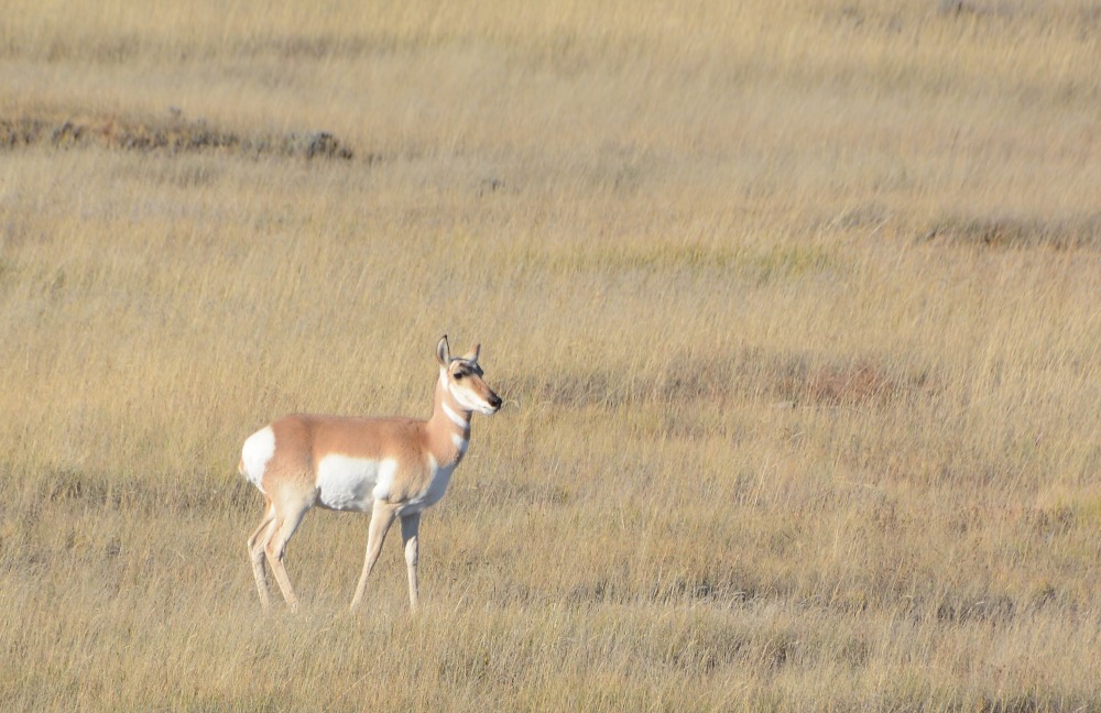 DSC_7607.JPG