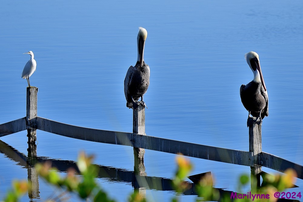 DSC_7608_001.JPG