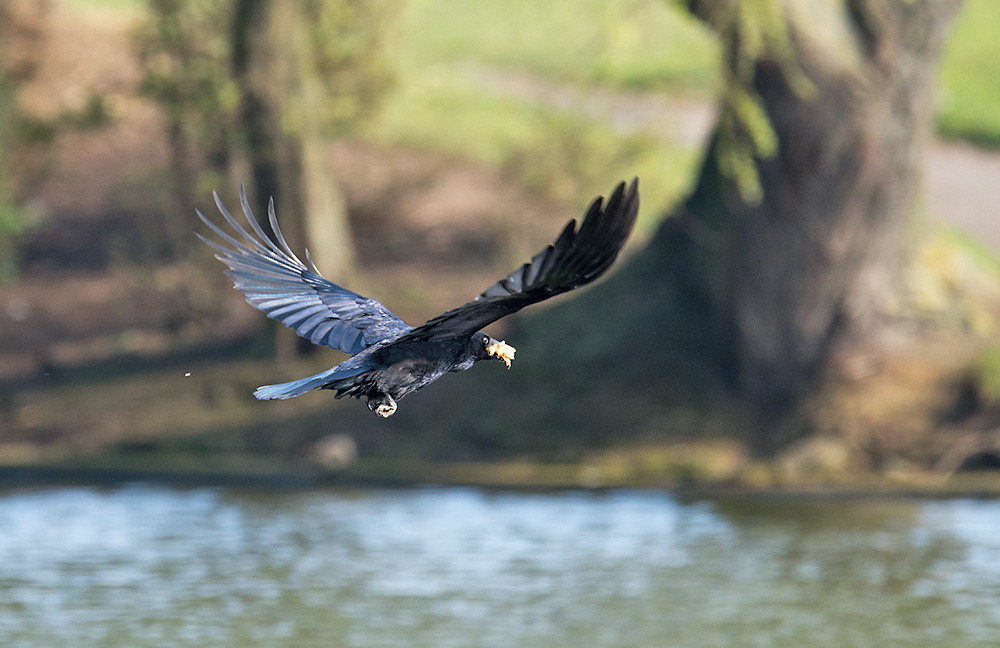 DSC_7610.jpg