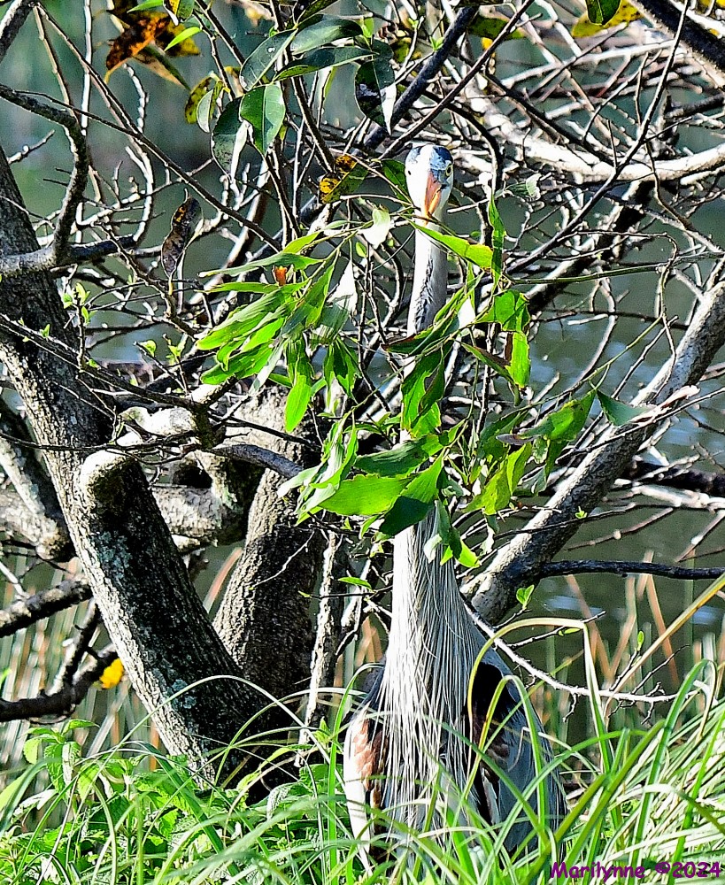 DSC_7610_001.JPG