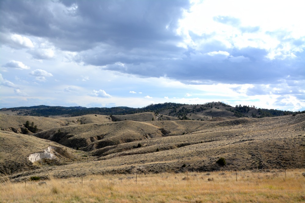DSC_7612.JPG