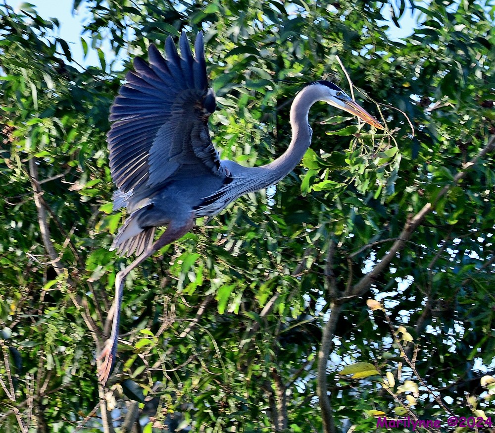 DSC_7614_001.JPG