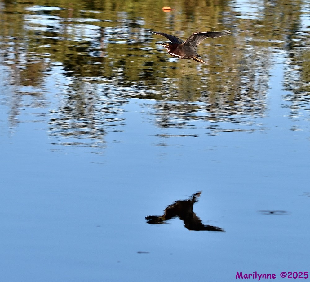 DSC_7614_001.JPG